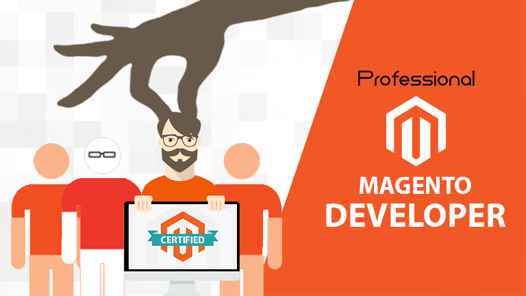 การเลือกนักพัฒนาระบบ Magento