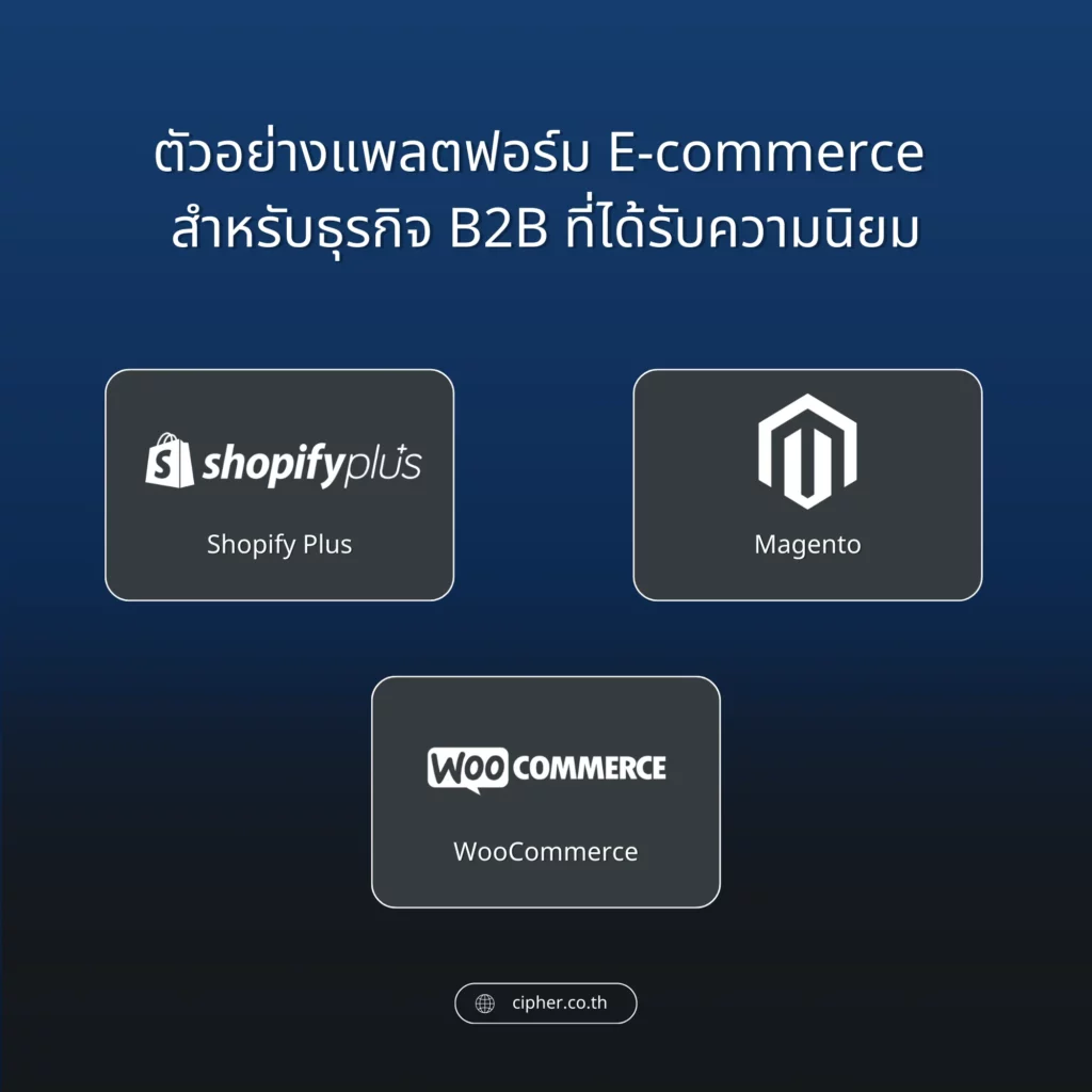 Example of an E-commerce platform for B2B business