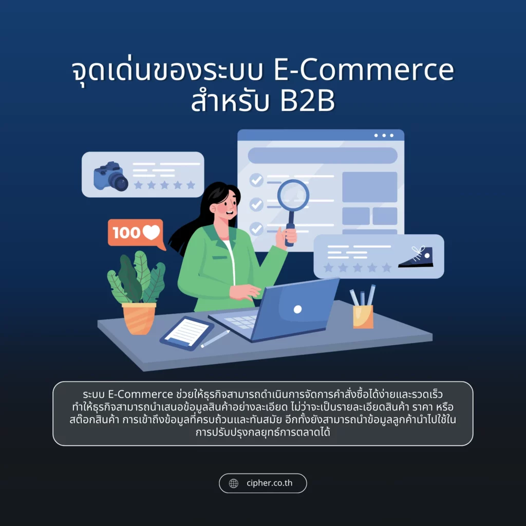 จุดเด่นของระบบ E-Commerce สำหรับ B2B