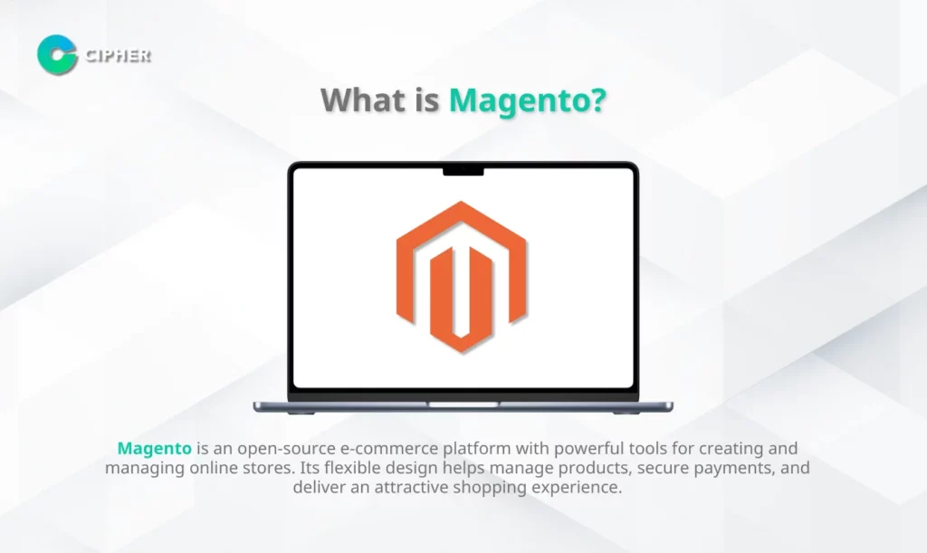 Top Magento Agency - What is Magento?