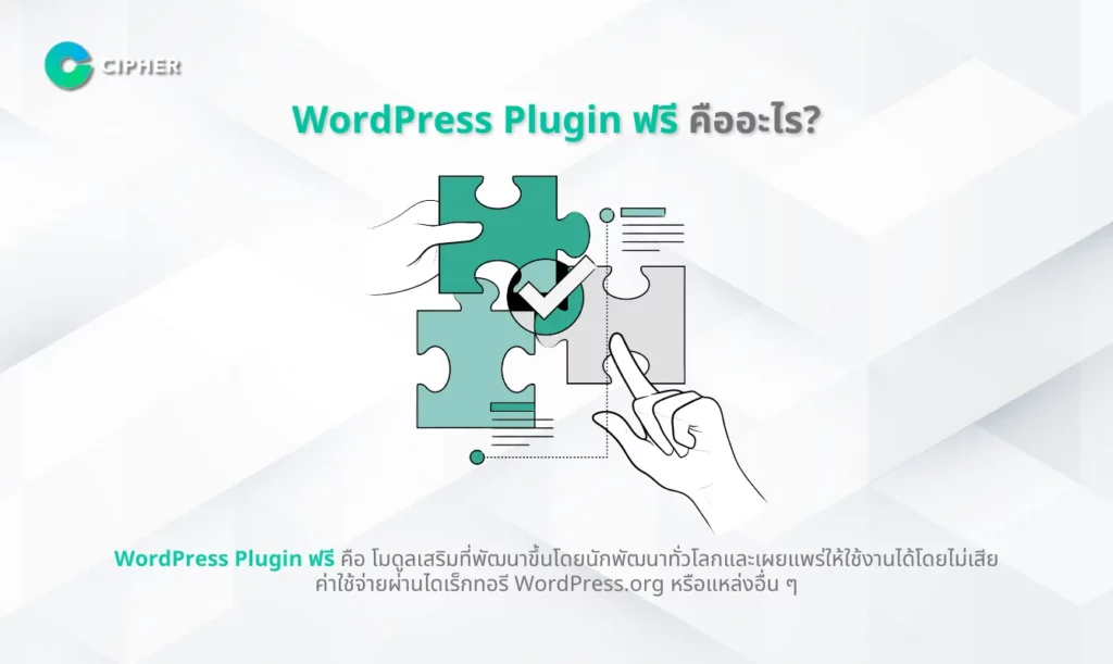 WordPress Plugin ฟรี VS Plugin แบบ Custom - WordPress Plugin ฟรี คืออะไร?