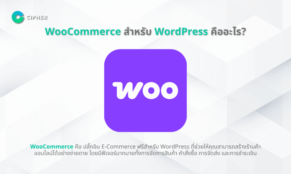 รับทำ WordPress Plugin รองรับ WooCommerce: เพิ่มฟีเจอร์ให้ร้านค้าออนไลน์