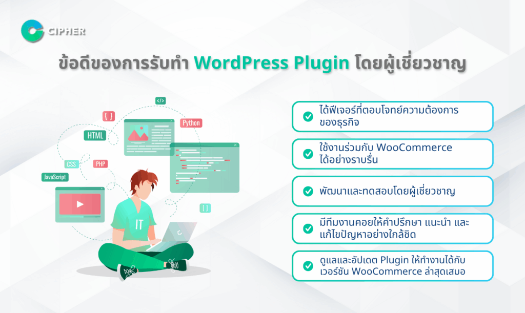 รับทำ WordPress Plugin รองรับ WooCommerce