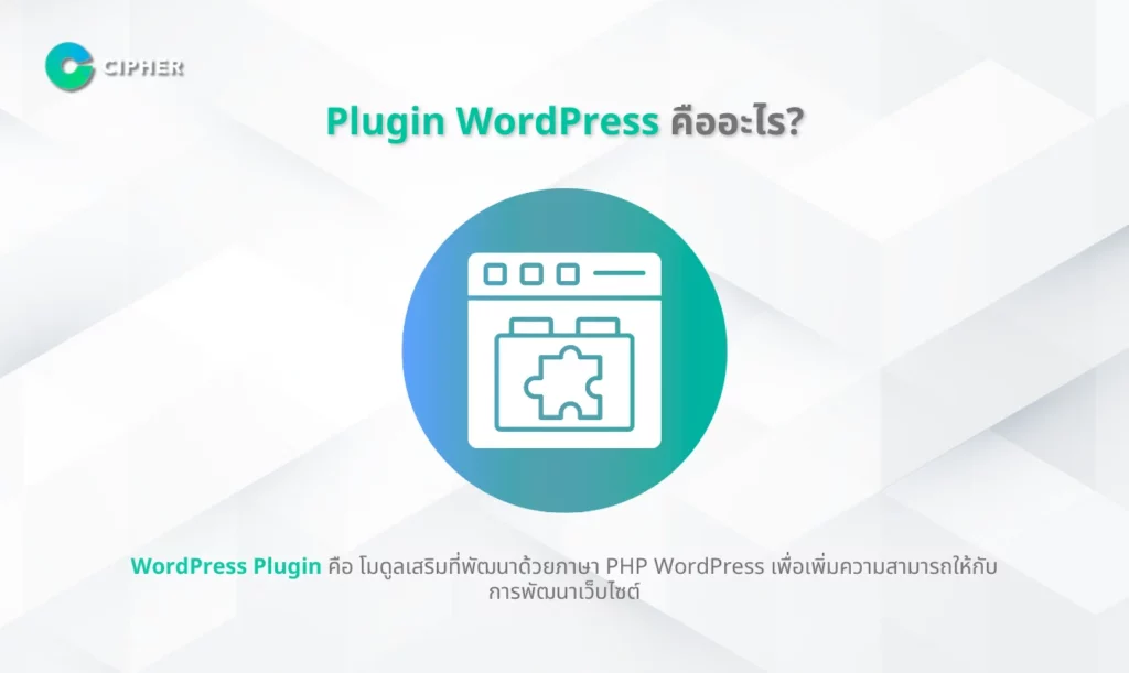 การพัฒนา WordPress Plugin สำหรับธุรกิจเฉพาะทาง - WordPress Plugin คืออะไร?