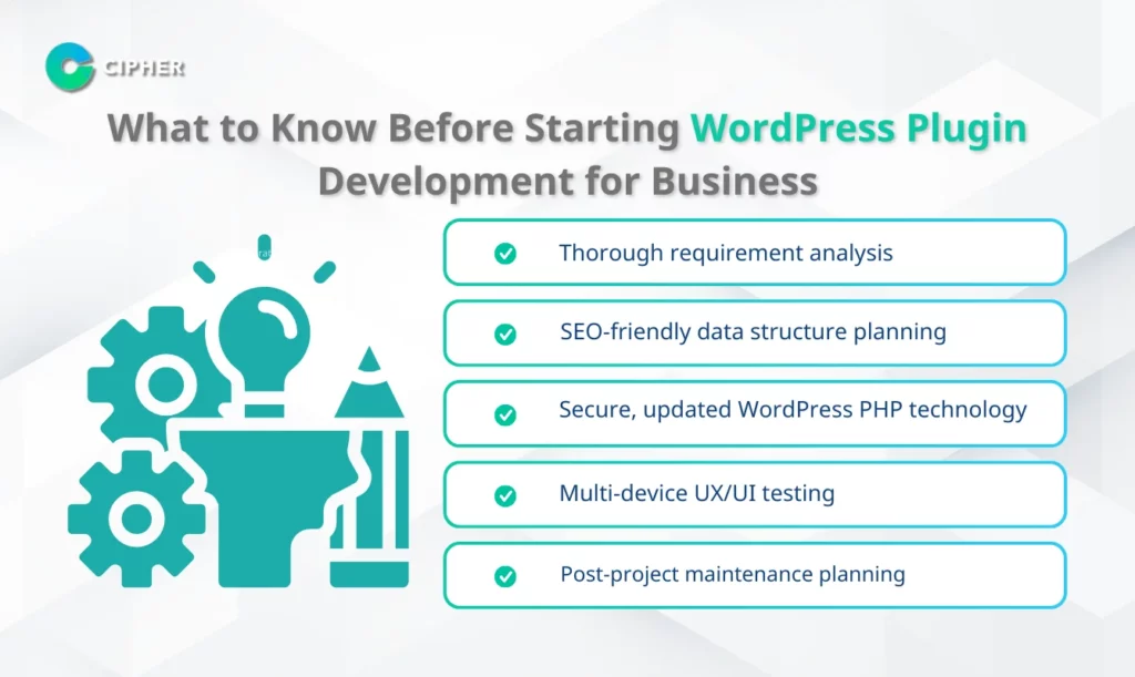What to Know Before Starting WordPress Plugin Development for Business