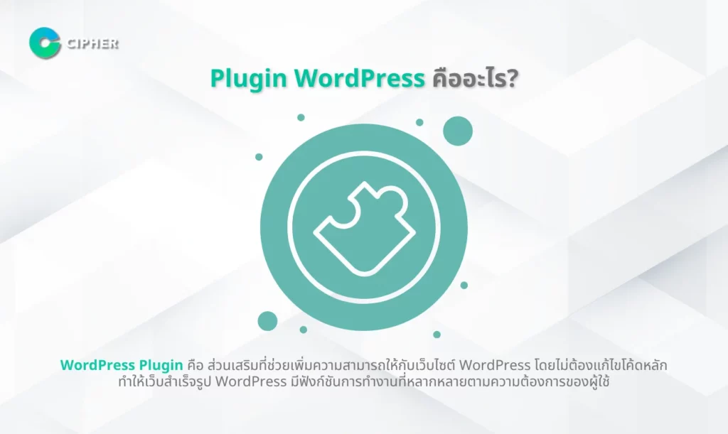 วิธีเลือกบริษัทรับทำ WordPress Plugin หรือฟรีแลนซ์ - WordPress Plugin คืออะไร?