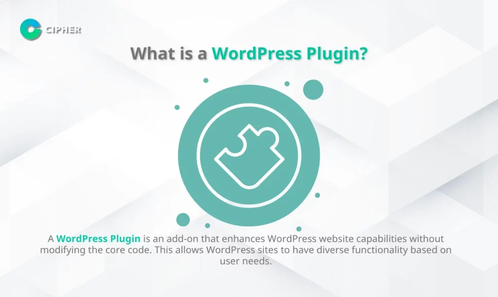 WordPress Plugin Developers - What is a WordPress Plugin?