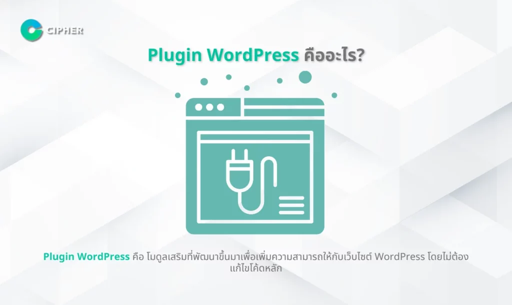 รับทำ WordPress Plugin สำหรับ SEO - Plugin WordPress คืออะไร?
