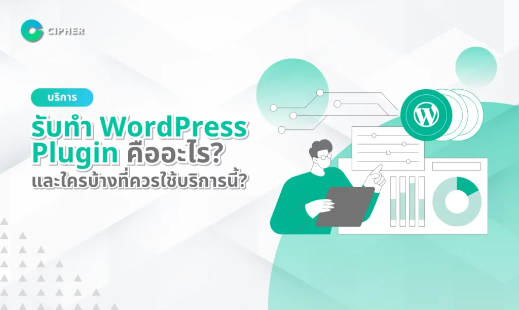 บริการ รับทำ WordPress Plugin คืออะไร? และใครบ้างที่ควรใช้บริการนี้?