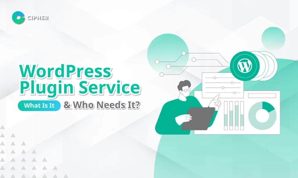 WordPress Plugin Service: What Is It? And Who Should Use This Service?