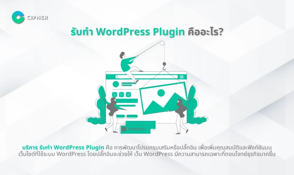 รับทำ WordPress Plugin คืออะไร?