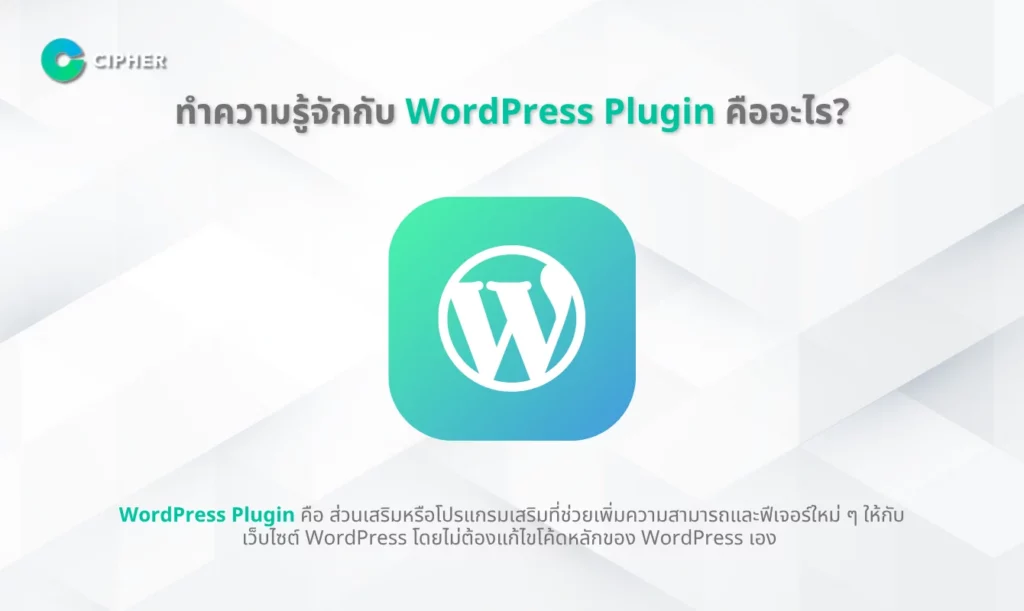 สิ่งที่ต้องมีใน WordPress Plugin - WordPress Plugin คืออะไร?