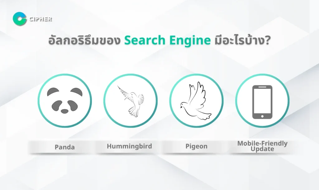 Search Engine คือ - อัลกอริธึมของ Search Engine มีอะไรบ้าง?