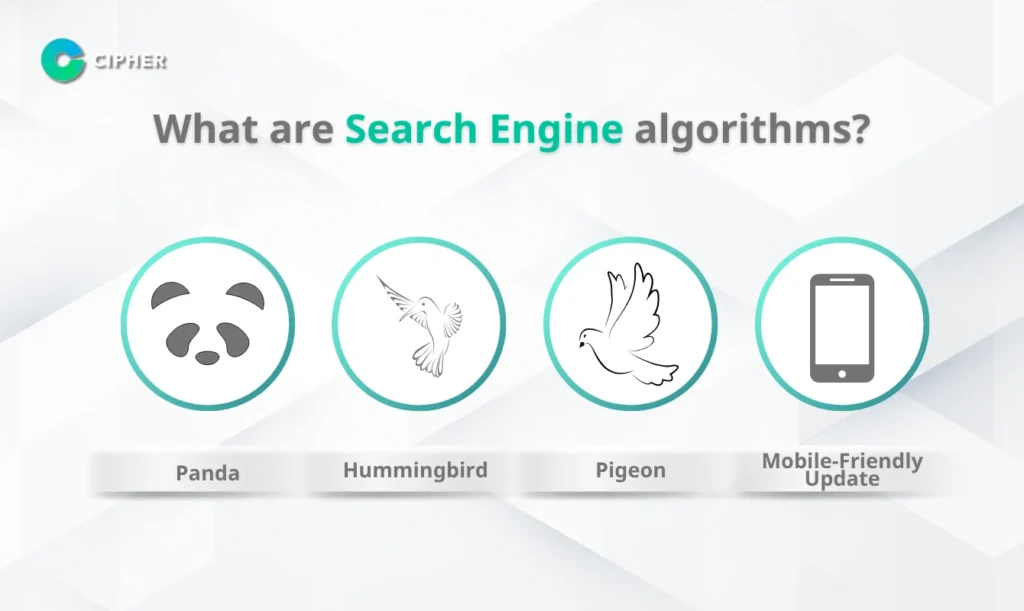 What are Search Engine algorithms?