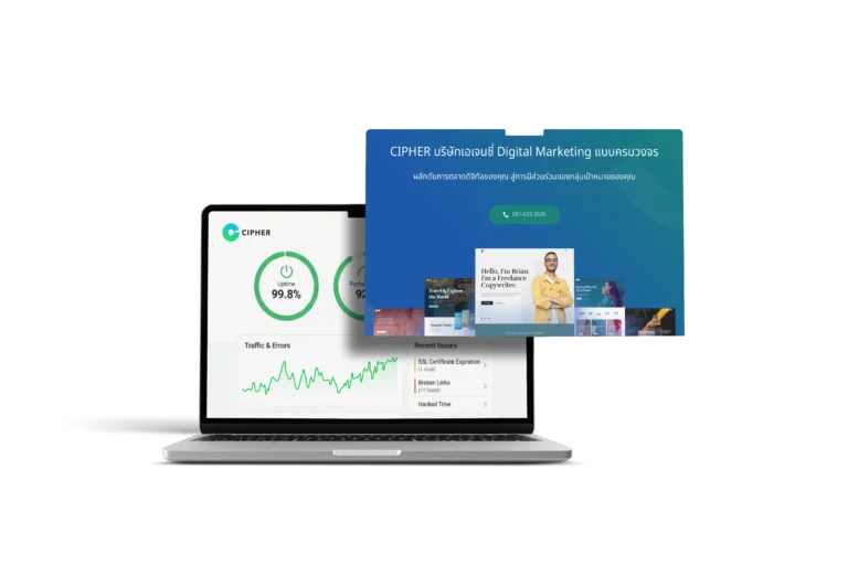 service-Website Health Check & Strategy-4